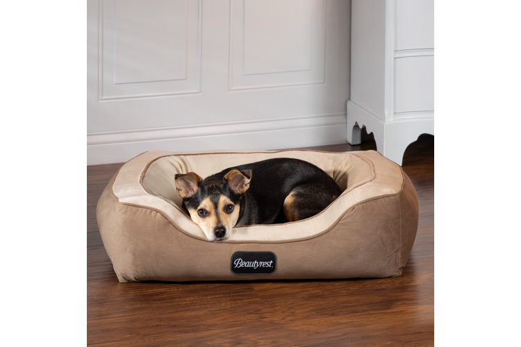 Odor resistant dog beds sale